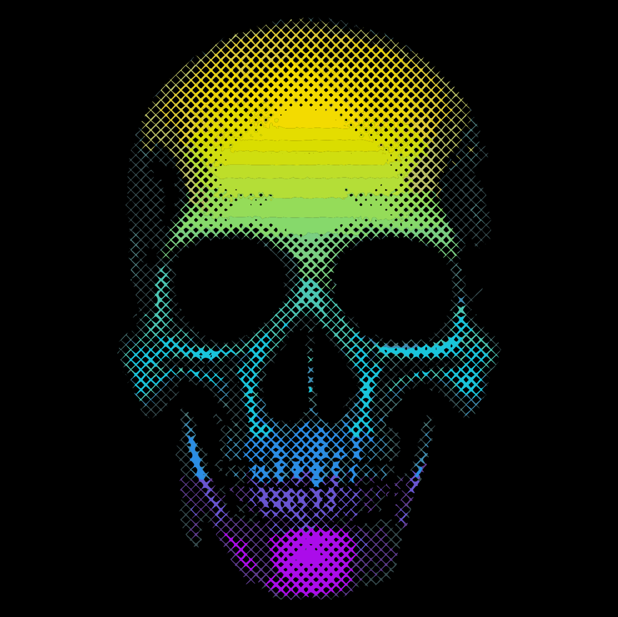 T-shirt Skull HD couleur